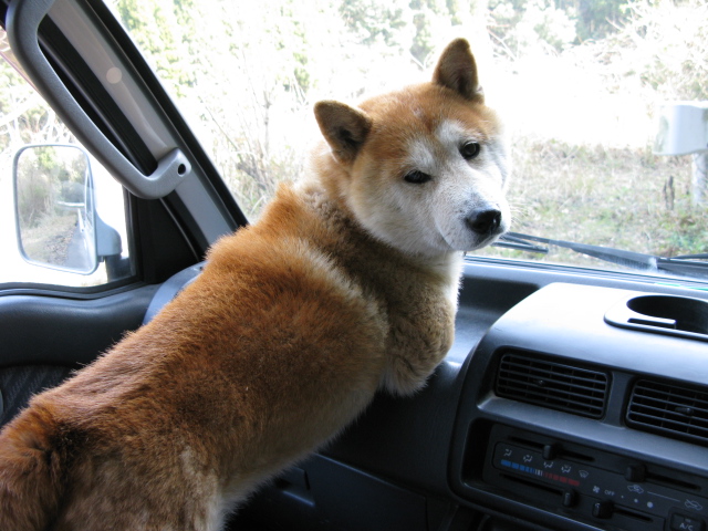 アイコンタクトします。