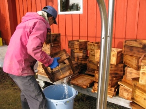 蜂箱水洗い