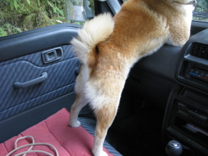 長旅は疲れます。