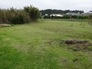 きれいになったんですが、いまいちわからないです。