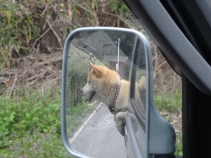 荷台だって捨てたもんじゃないよ