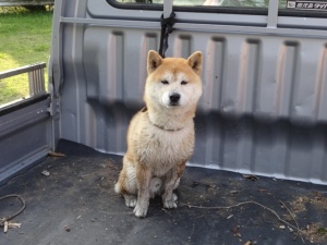 びっちょりなんで中にいれてもらえませんでした。