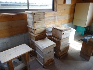 継ぎ足し用と来年の待ち箱です。