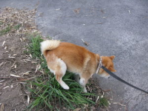 こんな写真撮らないでよ！