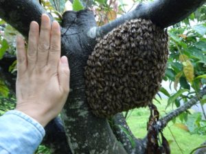 こんな感じで集まるんですね。