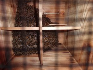 設置後、5時間経過の内検です。