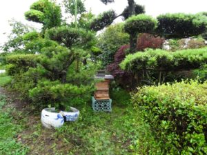 ここを気にいってくれますように。