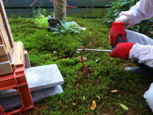 巣箱の前後に設置