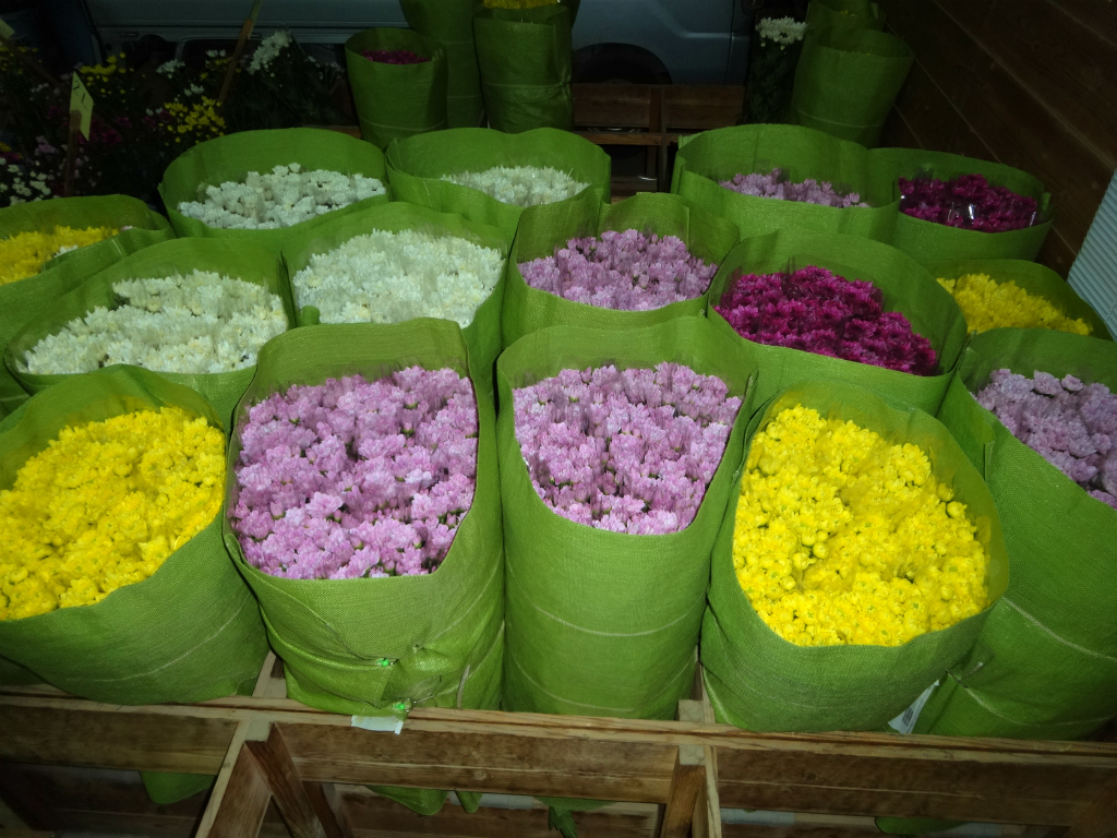 夏場の収穫は多くても通常の半分です。