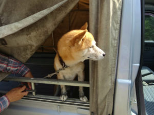 帰りは幌の中です。