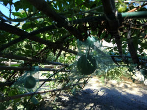 これなら汚れないです。