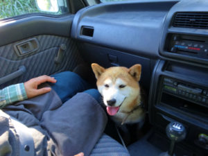 水遊びへ出発です。