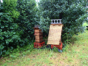 台風は問題ありませんでした。