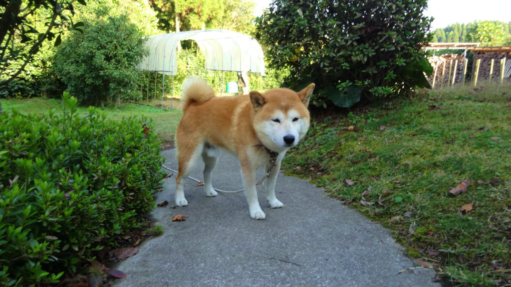いや～、びっくりした。心臓バクバクした。