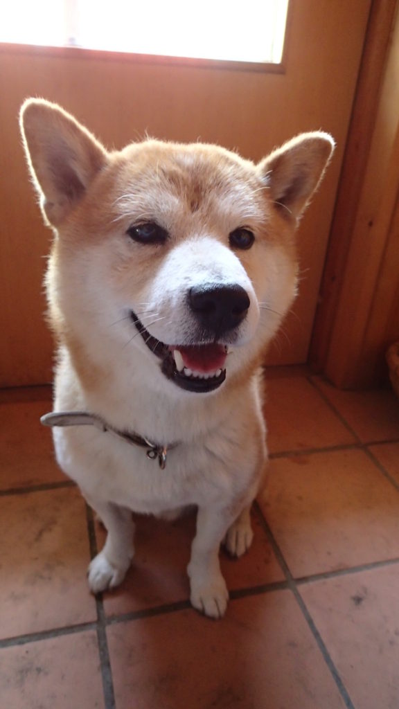 ちゃんとした座り方だってできますよ～！