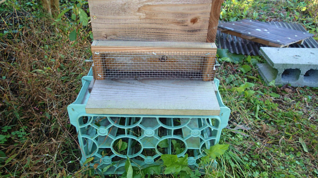 夏バージョンも終了。スズメハチガードも外します。