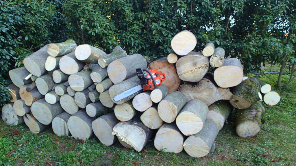 薪割り前の丸太です。ひと冬分には少し足りまいかも！？