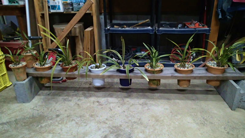 天気が悪く風の強い日はこのままです。