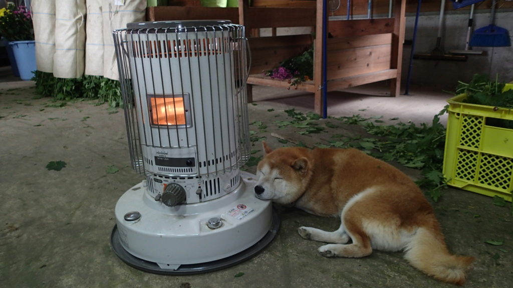 ちょっと疲れたので、暖かいところで休憩。