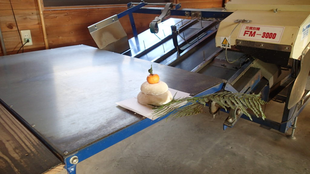 正月飾り、一夜飾りにならないように今日、作業場の選花機に！