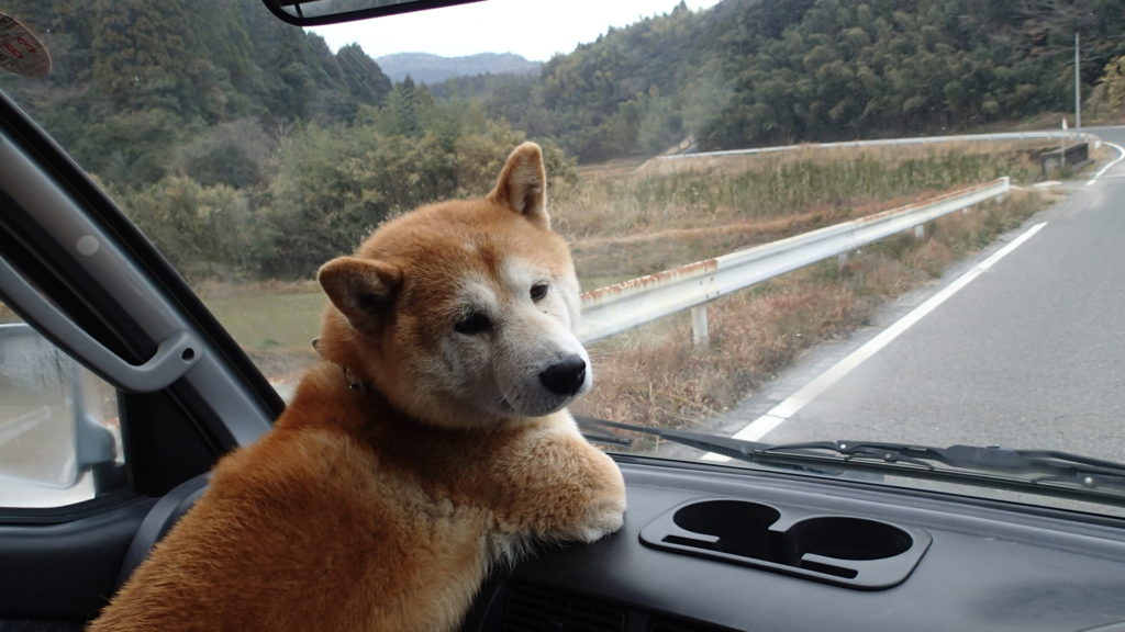 2014年　初ドライブです。