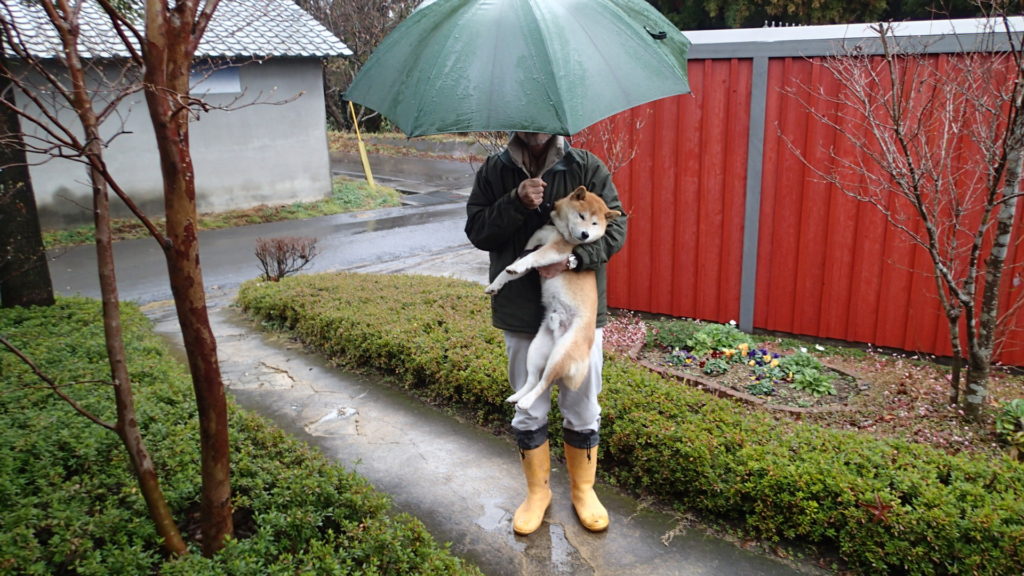 せっかく濡れた体を拭いてもたったので、抱っこしてもらいます。