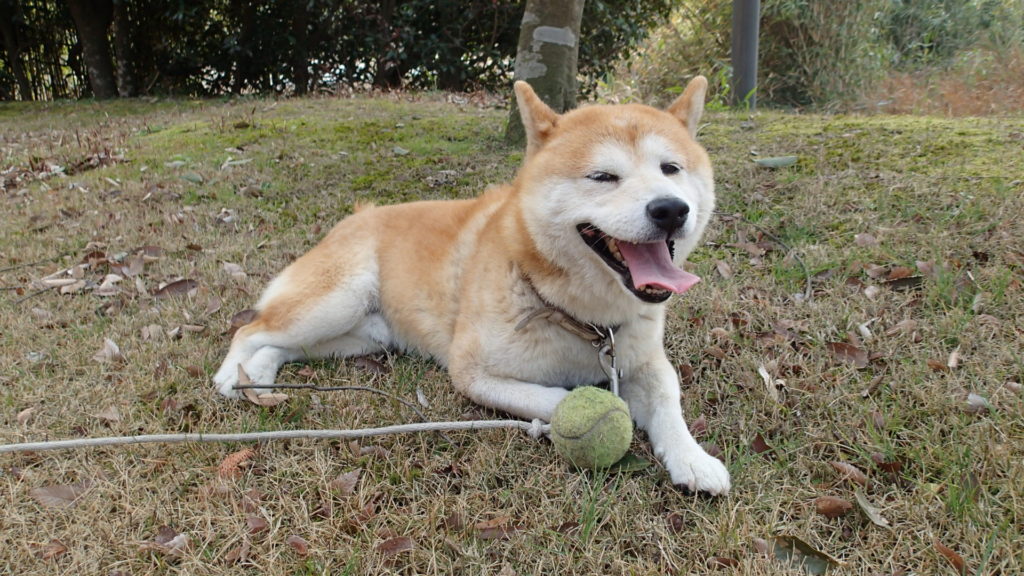 ちょっと一休み!