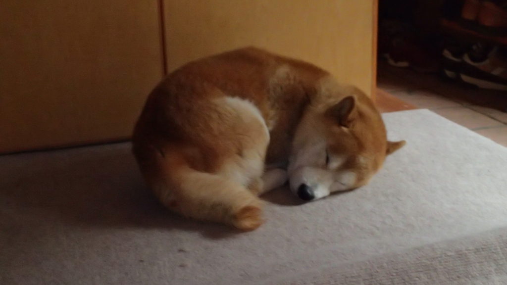 寝るのが一番です。