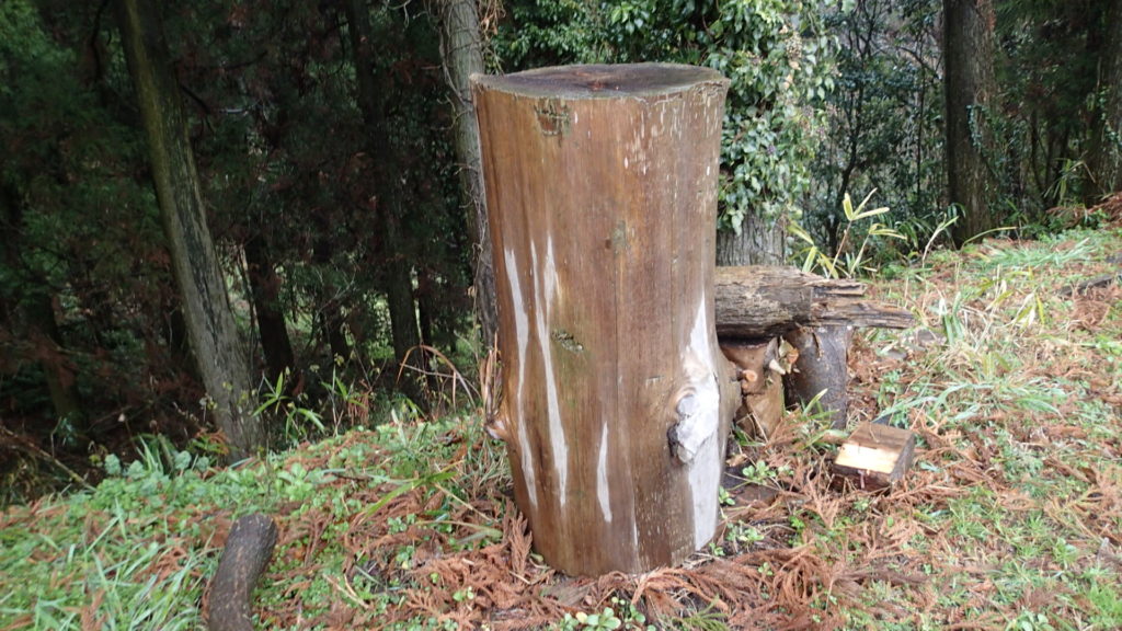 丸胴巣箱にして、自然巣のように、採蜜もなしで・・・