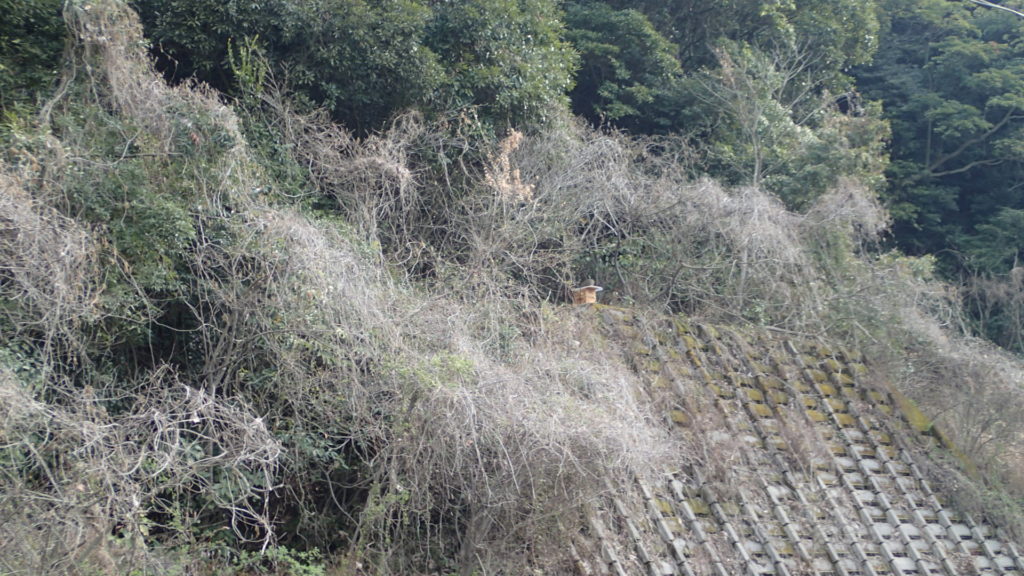 昼から忙しいので、朝一でセットしてきました。