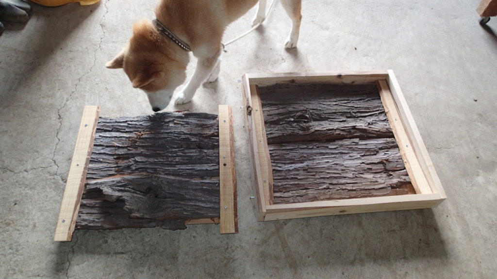 分蜂板、杉皮使用