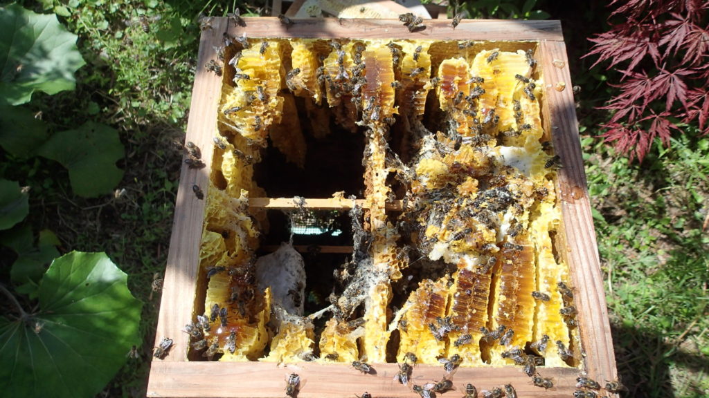 こうなるんだぁ～、ショック！