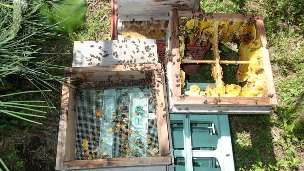 うまく移動してくれればよいのですが・・・