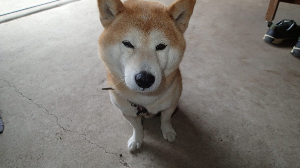 おじさん、考え事？