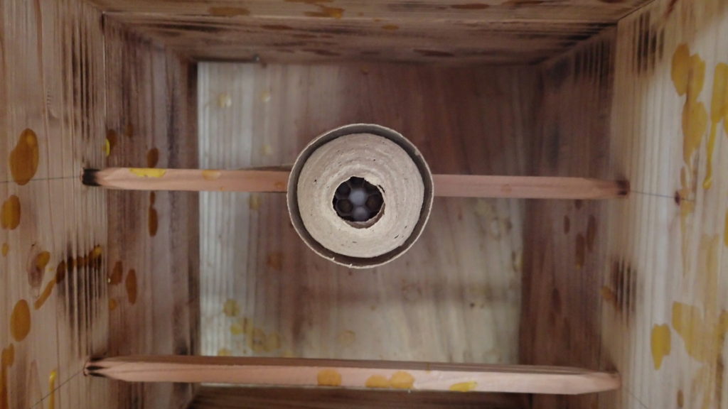 ひっくり返してびっくりでした。