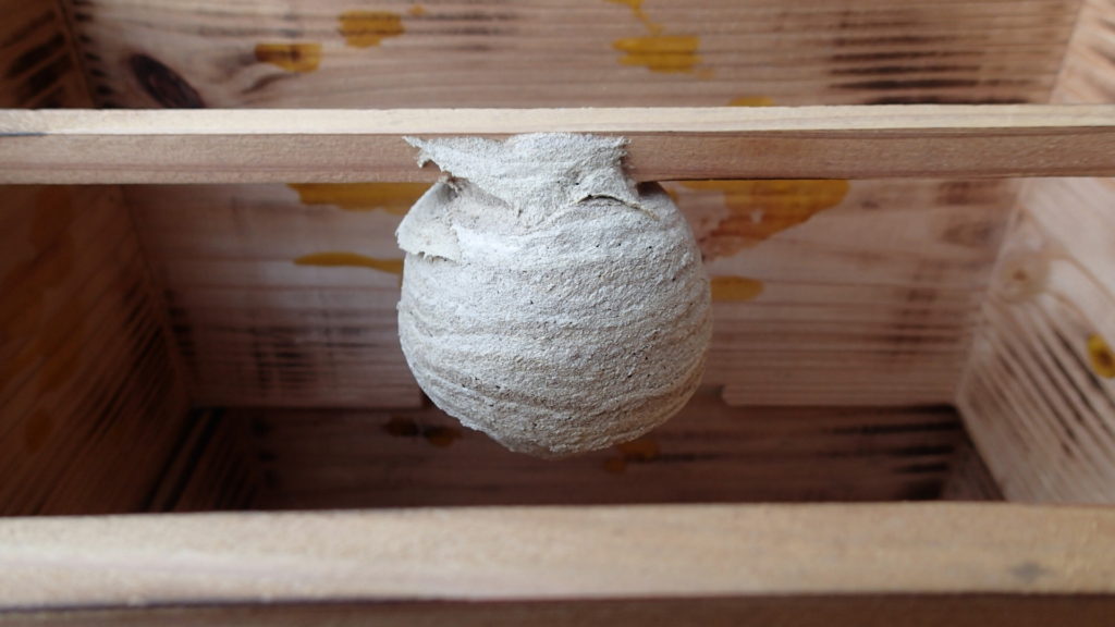 一匹で作ったのでしょうね。