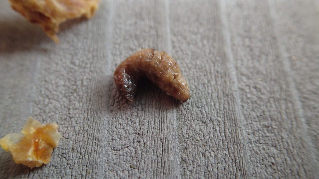 死んでいました。