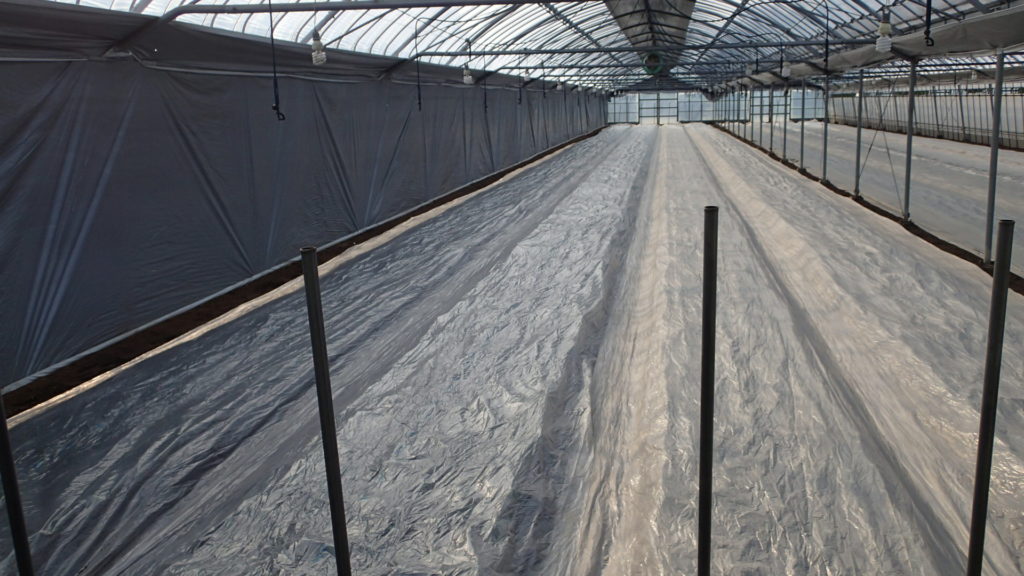 西日が当たらないように。