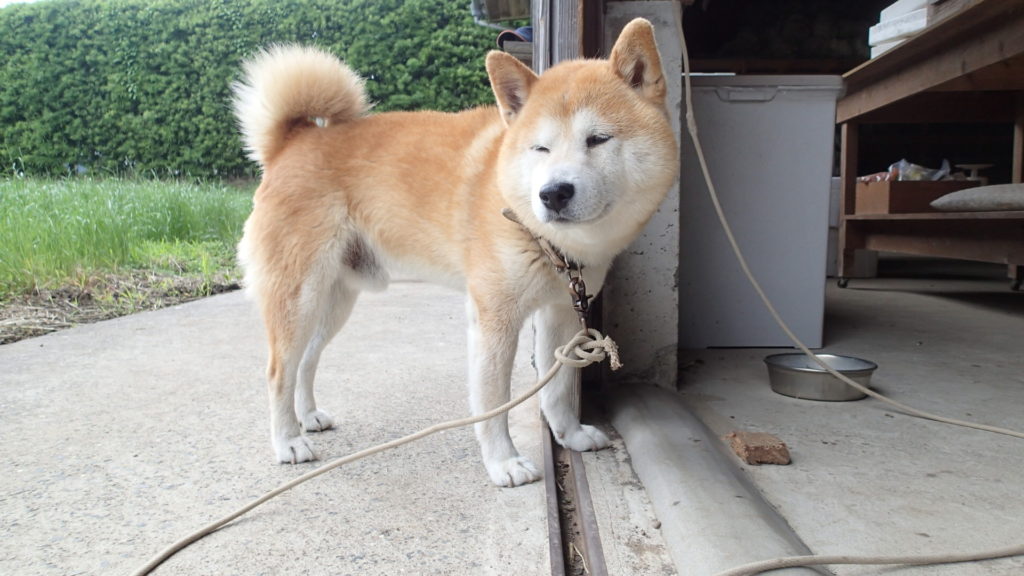 う～ん、食事ねぇ～