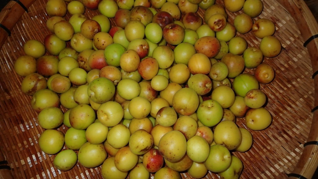 きれいに洗って、