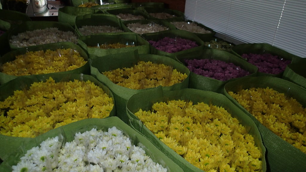 明日の箱詰めを待っています。