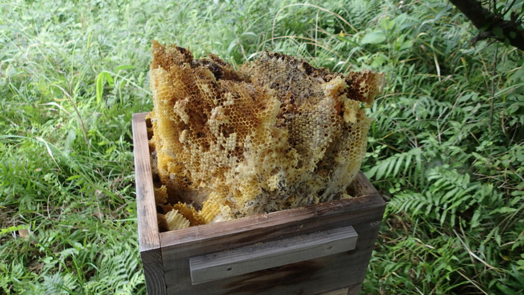 あまり見たくないですね。