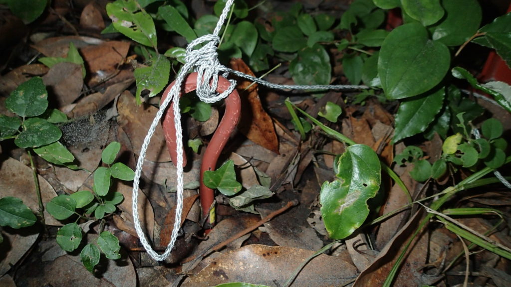 らせん杭で固定しました。