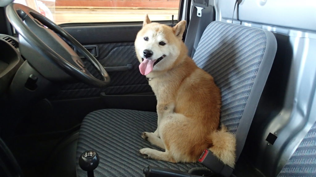 エヘェ、乗ったもんねぇ!