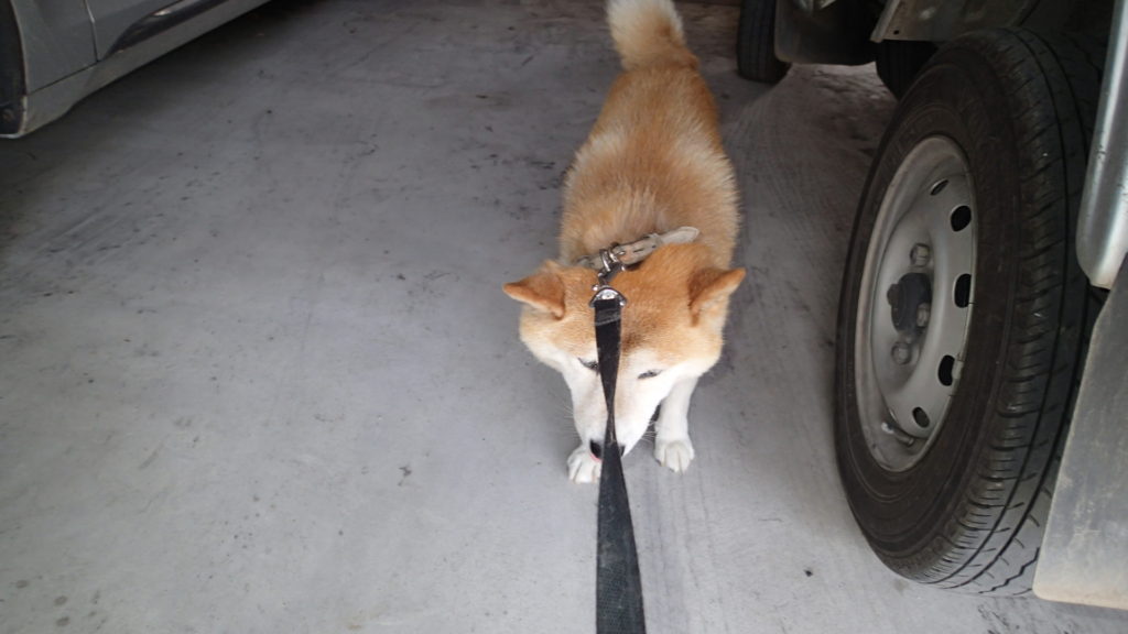 異議あり、拒否権発効します。