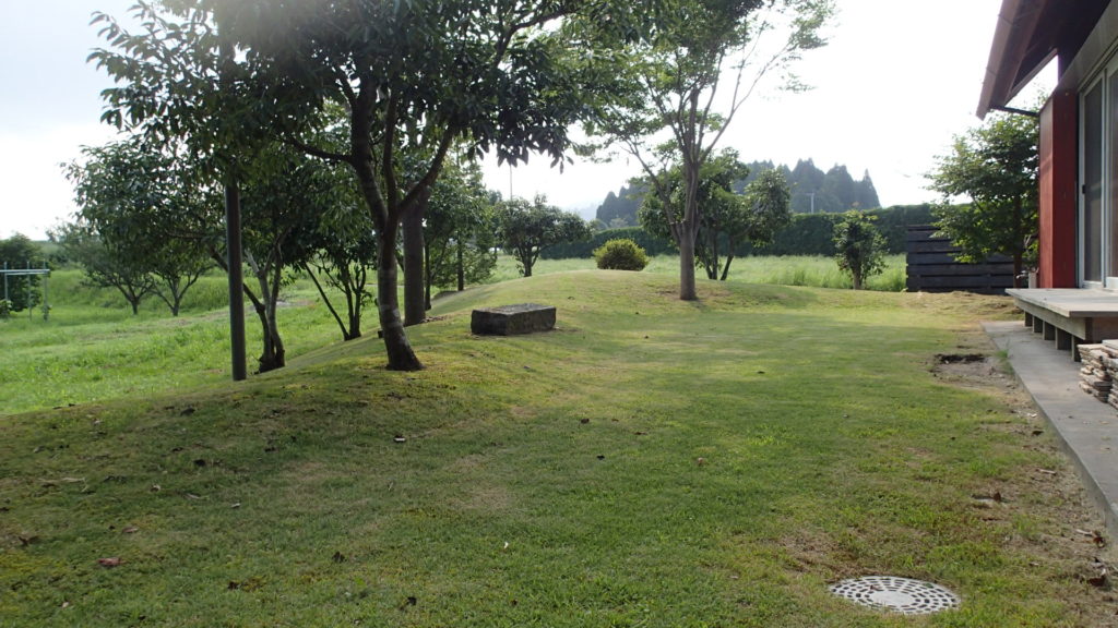 昨日、芝刈りしました。