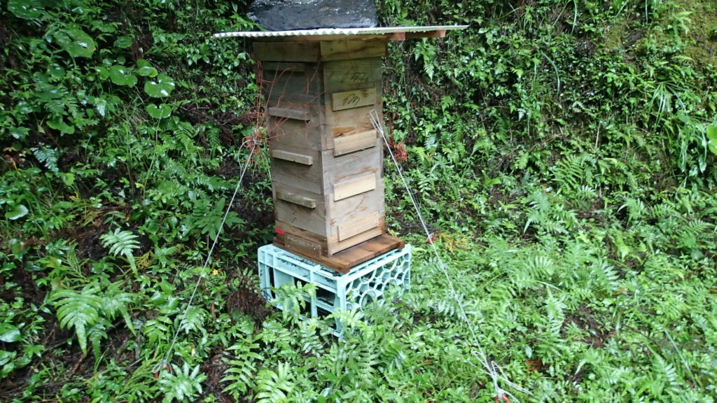 補強して、3点で台風対策