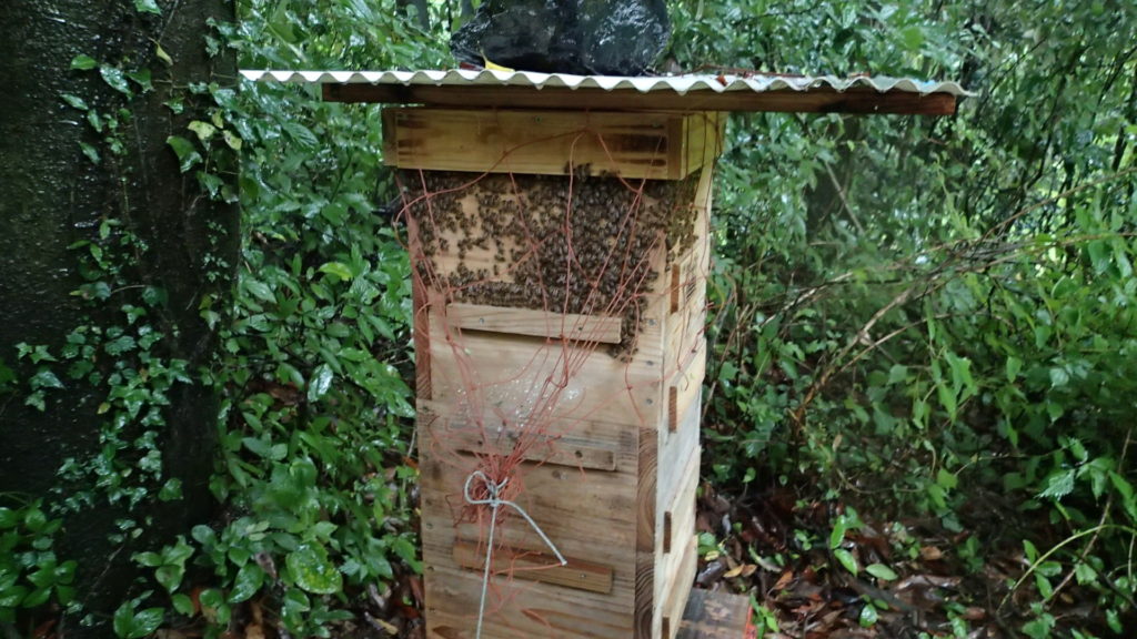 風、雨、あるのに外に出ています。