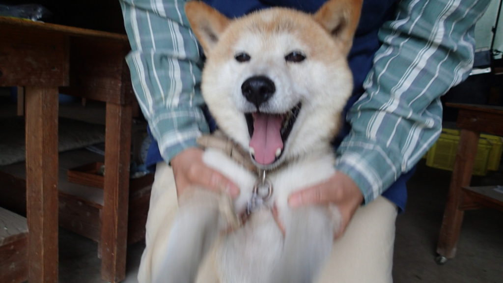 もじもじは大好きですよ~!