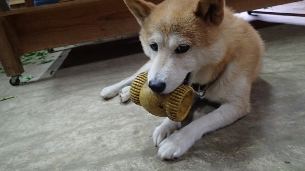 樽型ボールも好きです。